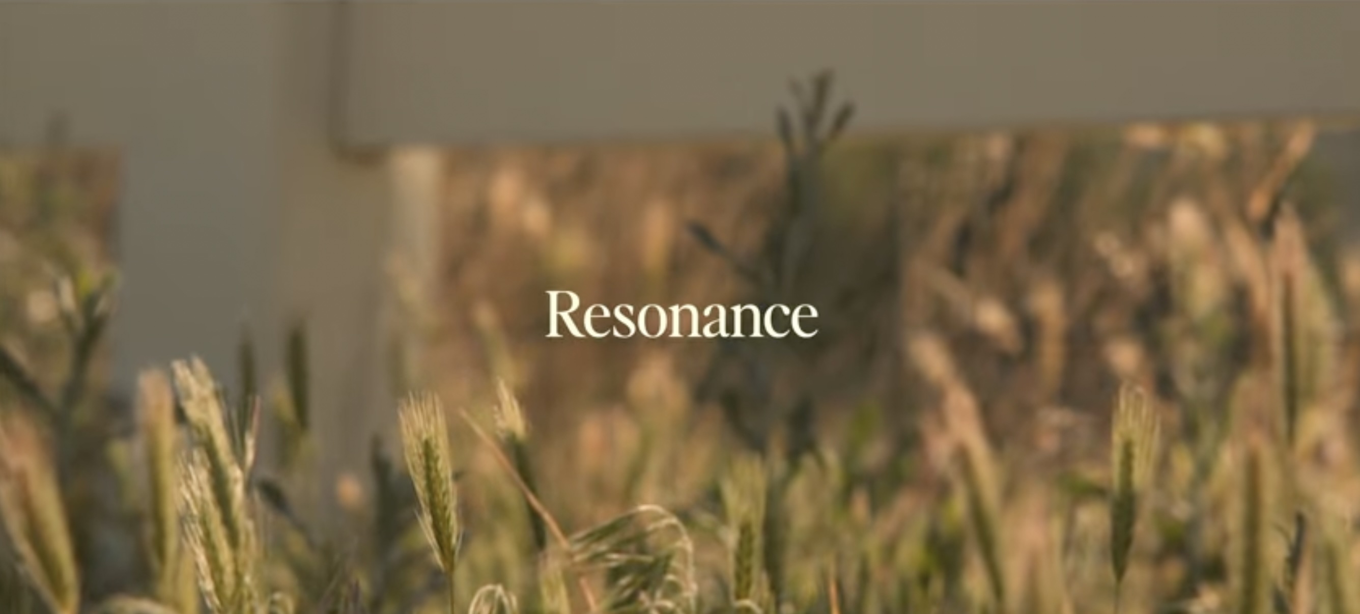 Resonance short film thumbnail