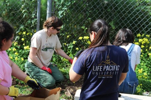 San Fransisco Mission Trip